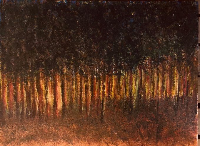 Forêt en feu