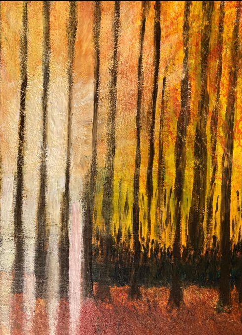 Forêt soleil levant