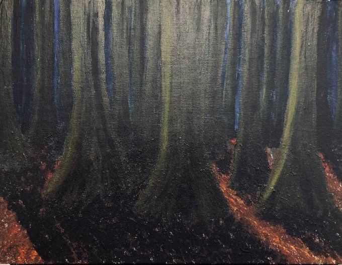 Forêt la nuit